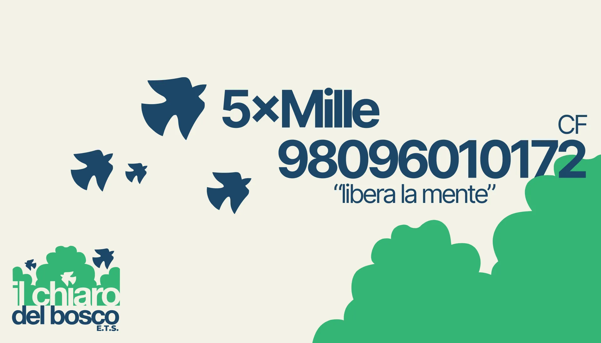 Il Chiaro del Bosco Project 2