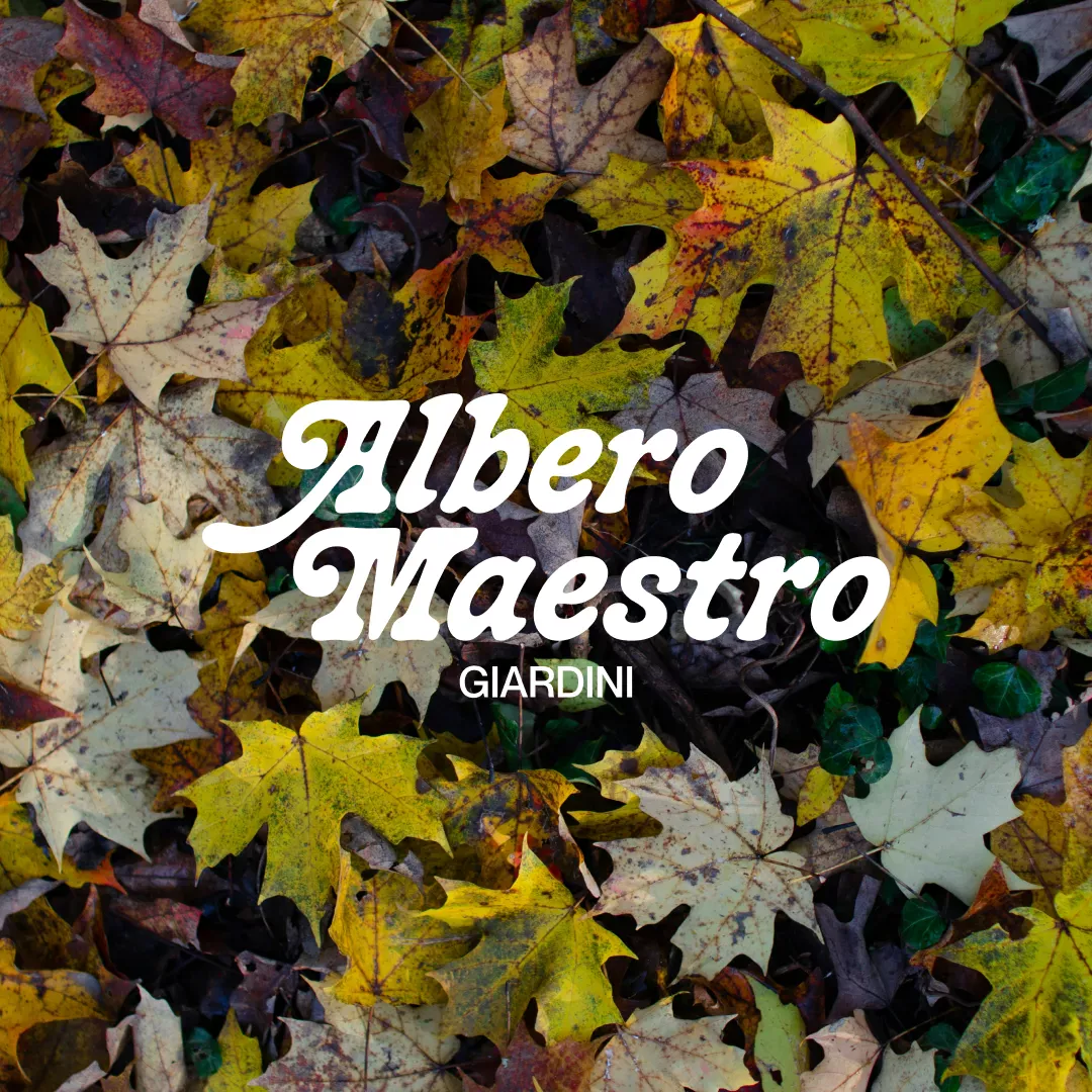 Albero Maestro Giardini Project 6